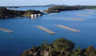 世界的イベント